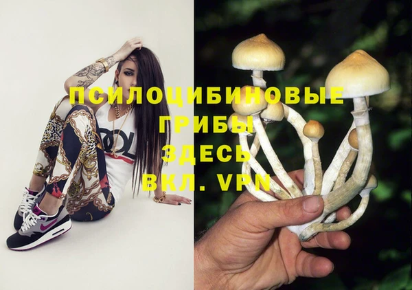 прущие грибы Алексеевка